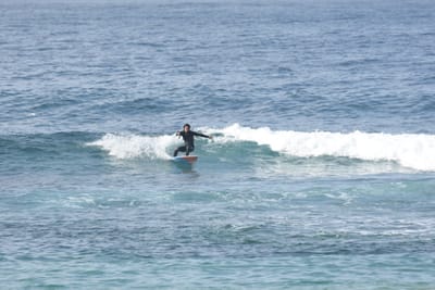 DSC_8060.JPG