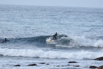 DSC_8061.JPG