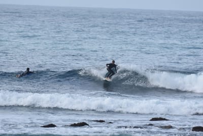 DSC_8063.JPG