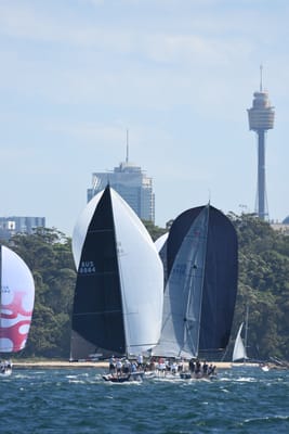DSC_0584.JPG