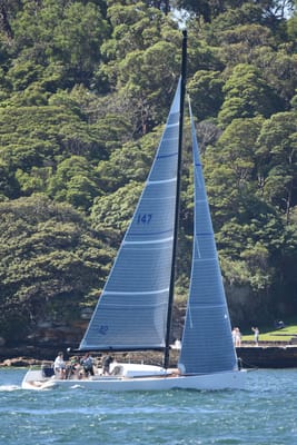 DSC_0748.JPG