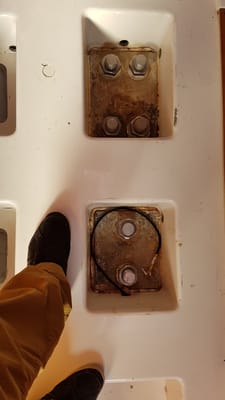 20170618_123117.jpg