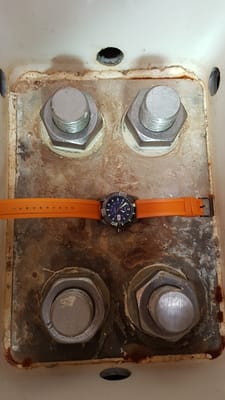 20170618_125331.jpg