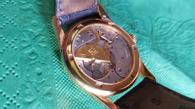 20170604_150326.jpg