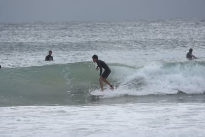 DSC_9290.JPG