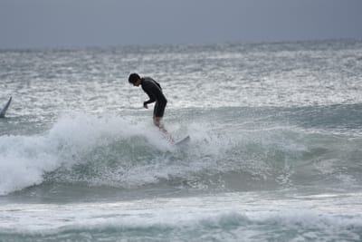 DSC_9305.JPG