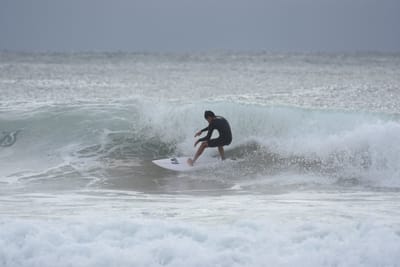 DSC_9315.JPG
