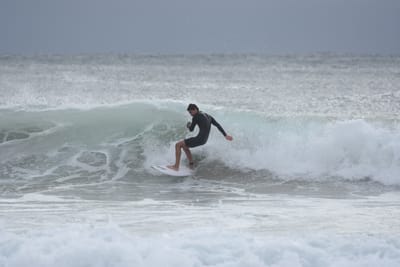 DSC_9317.JPG