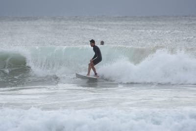 DSC_9319.JPG