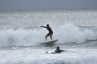 DSC_9323.JPG