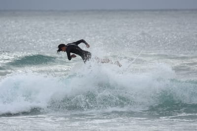DSC_9331.JPG