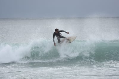 DSC_9335.JPG