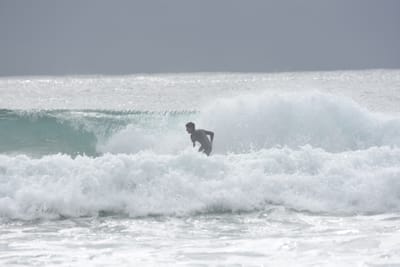 DSC_9356.JPG