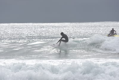 DSC_9365.JPG