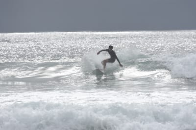 DSC_9368.JPG