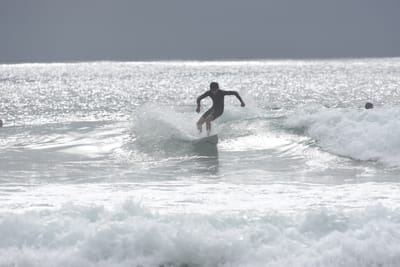 DSC_9369.JPG