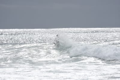 DSC_9373.JPG