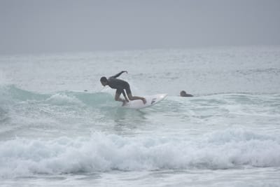 DSC_9431.JPG
