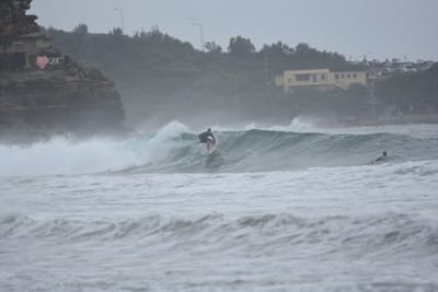 DSC_9476.JPG