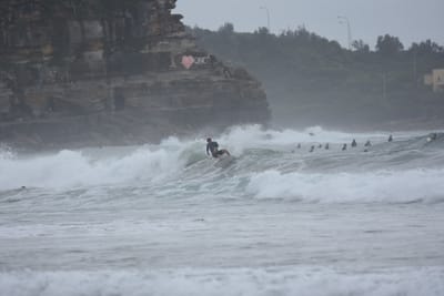 DSC_9477.JPG