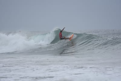 DSC_9503.JPG