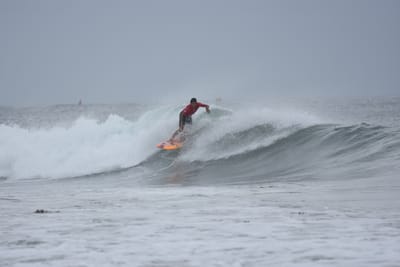 DSC_9510.JPG