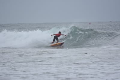 DSC_9515.JPG
