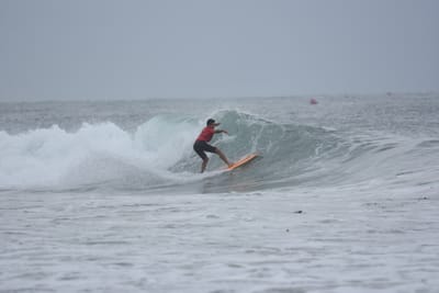 DSC_9516.JPG