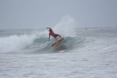 DSC_9519.JPG