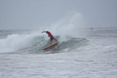 DSC_9520.JPG