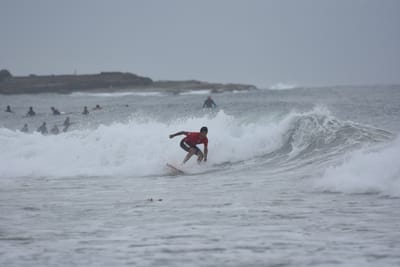 DSC_9525.JPG