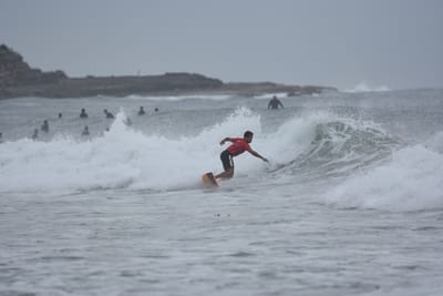 DSC_9526.JPG