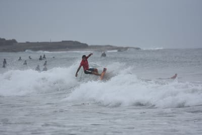 DSC_9528.JPG