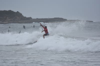 DSC_9531.JPG