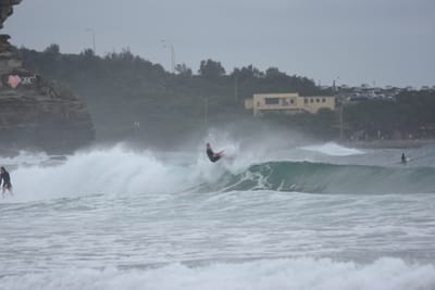 DSC_9533.JPG