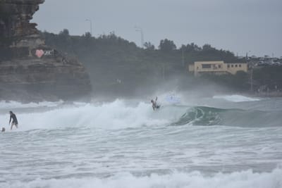 DSC_9535.JPG