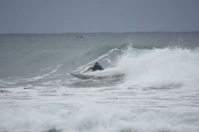 DSC_9652.JPG
