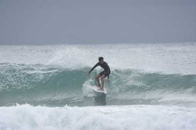 DSC_9828.JPG