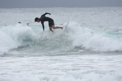 DSC_9847.JPG
