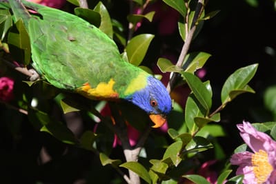 DSC_2353.JPG