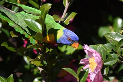 DSC_2357.JPG