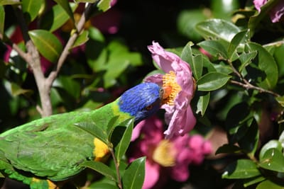 DSC_2365.JPG