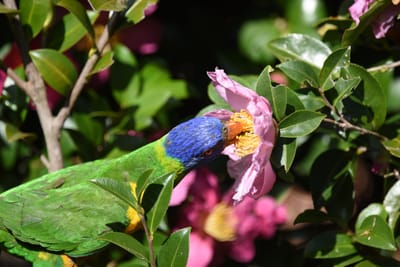 DSC_2368.JPG