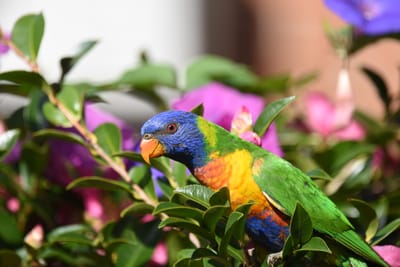 DSC_2381.JPG