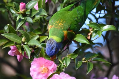 DSC_2382.JPG