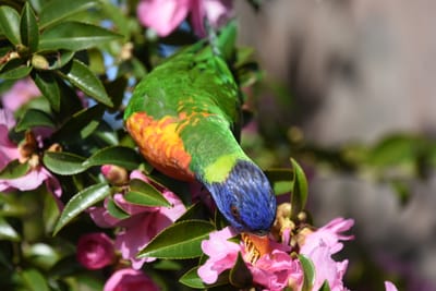 DSC_2387.JPG