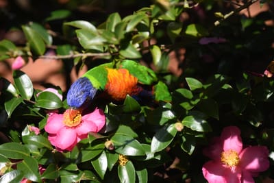DSC_2406.JPG