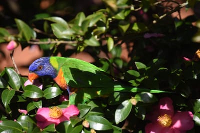 DSC_2409.JPG