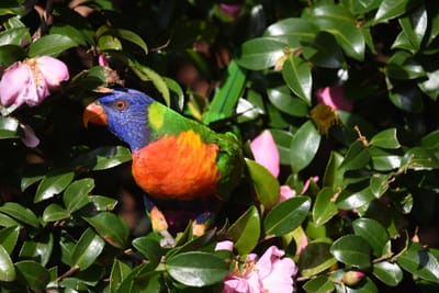 DSC_2416.JPG
