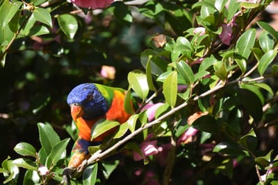 DSC_2421.JPG